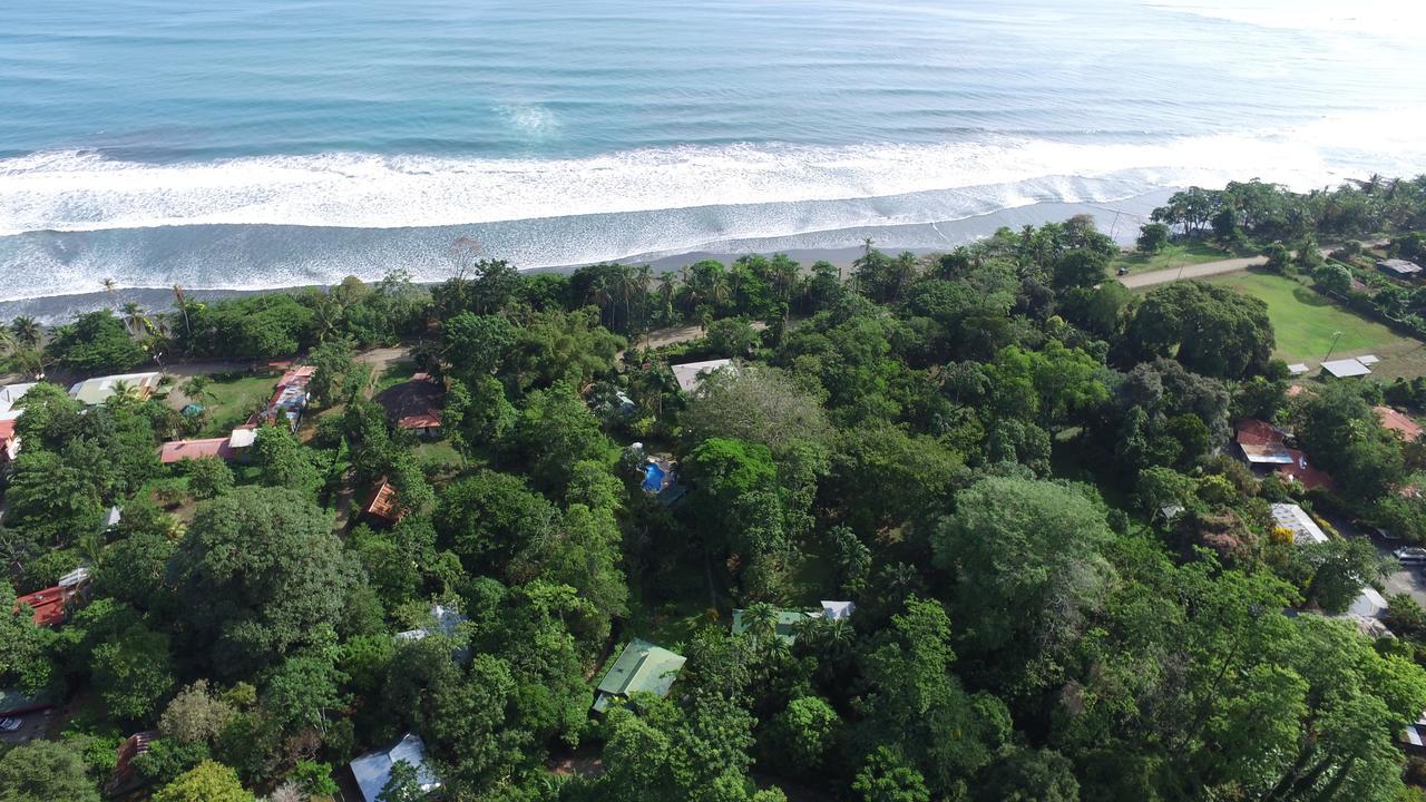Playa Negra Guesthouse Cahuita Extérieur photo