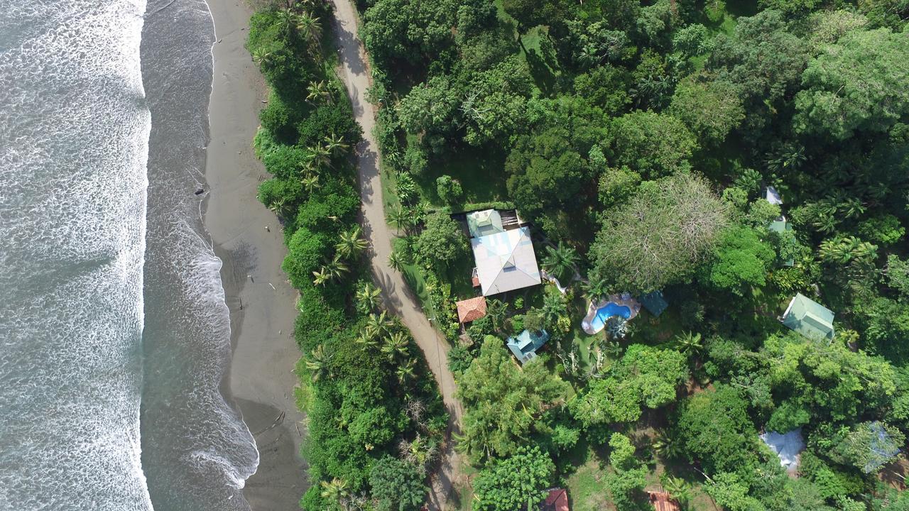 Playa Negra Guesthouse Cahuita Extérieur photo