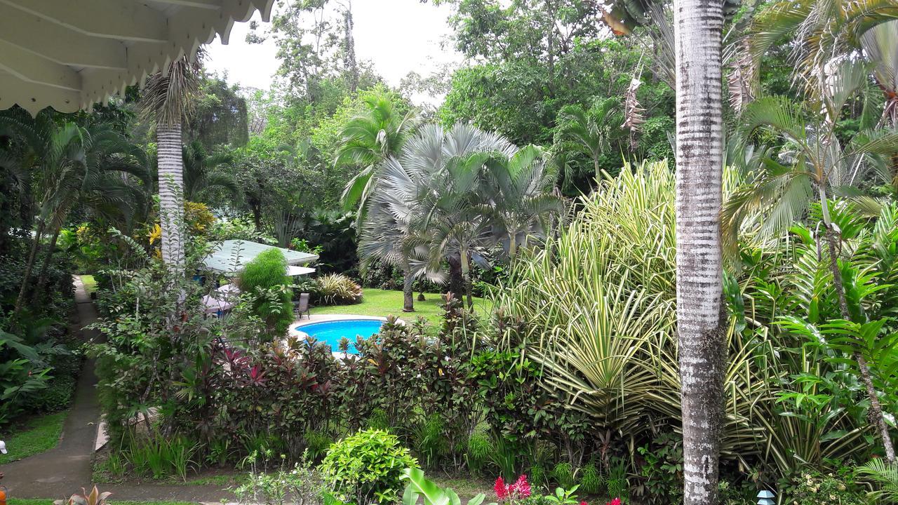 Playa Negra Guesthouse Cahuita Extérieur photo