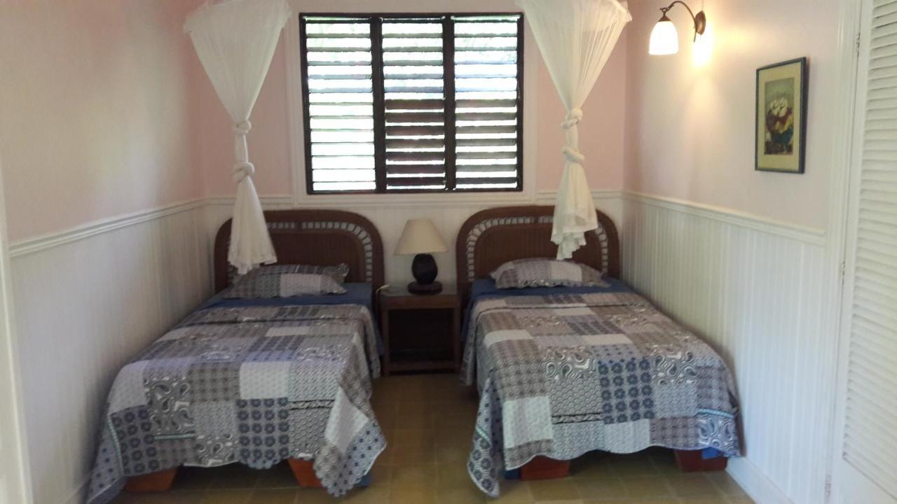 Playa Negra Guesthouse Cahuita Extérieur photo